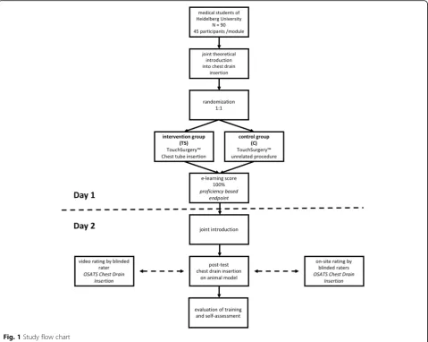 Fig. 1 Study flow chart