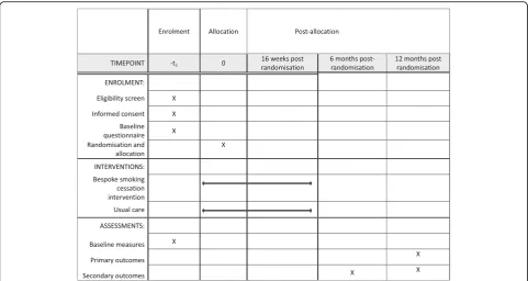 Fig. 1 Standard Protocol Items: Recommendations for Interventional Trials (SPIRIT) figure – schedule of enrolment, intervention and assessments