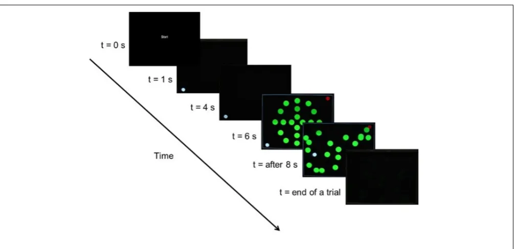 FIGURE 3 | Timeline representation of the MOA task (see text for details).