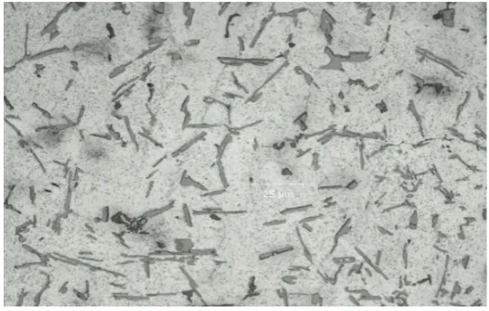 Figure 7. Microstructure of 12 wt.% composite cast using copper chill of 25 thickness