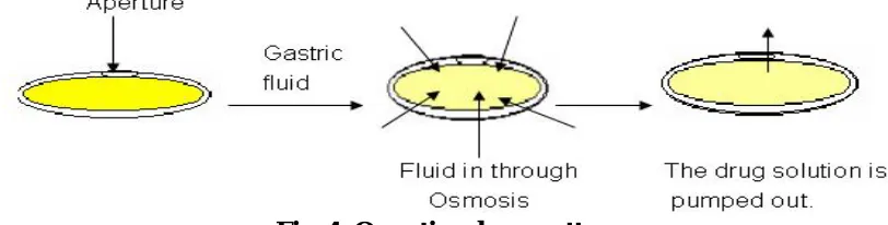 Fig. 4: Osmotic release pattern In practice, we can follow either of the two methods, first the drug is formulated in an 