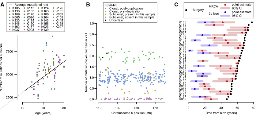 Figure 5. Mutational Burden and the Chronological Loss of Chromosome 3p(A) Mutational burden of subclones compared to age at surgery (points), annotated with the patient-speciﬁc and cohort average mutational rate (black line).(B) The estimated number of co