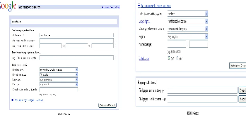 Figure 10: Google advanced search 