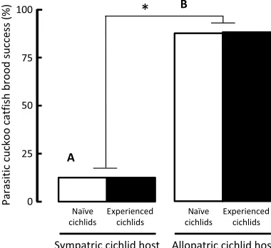 Fig. 4. The success of host broods over the duration of brood care. The propor-tion of clutches with at least a single host juvenile surviving to independencefollowing experimental parasitism (black bars) and in control broods (white bars)in sympatric hosts that were individually naïve to cuckoo catfish parasitism (A) orexperienced host females (B), and in allopatric naïve (C) and experienced (D) hosts.Asterisks denote statistically significant (P < 0.05) difference in the pairwise contrastsbetween host brood success after experimental parasitism and the control treatment.