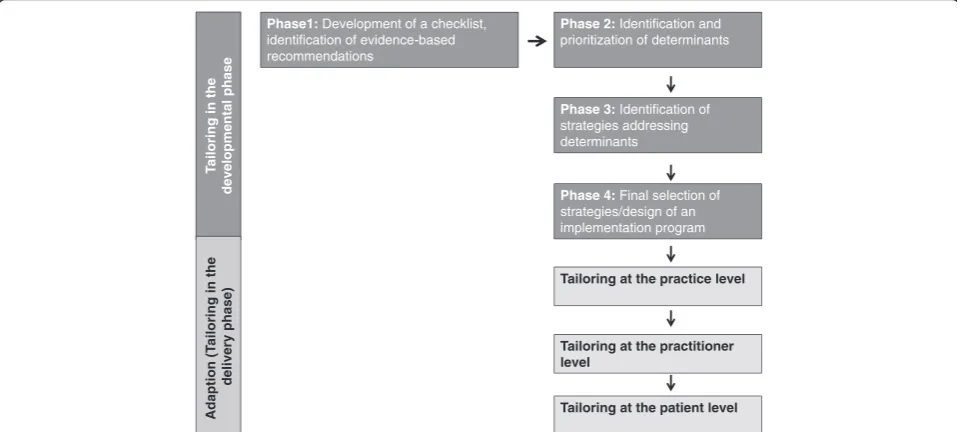 Figure 1 Tailoring process in Tailored Implementation for Chronic Diseases (TICD) projects.