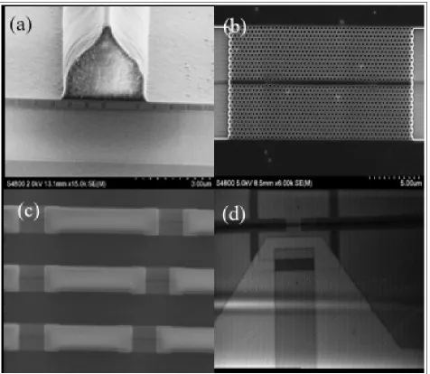 Figure 3: Scanning electron microscope images of the fabricated structures.a) Cross-sectional view of the polymer waveguide above a PhC cavity