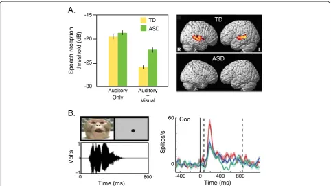 Figure 2 Integration of visual and auditory information is commonplace in both humans and rhesus macaques, and is deficient inindividuals with ASD