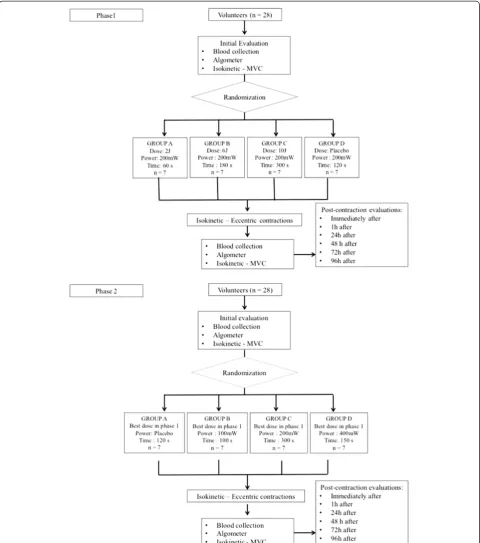 Figure 1 Flowchart of design, composition of groups and protocols in phases 1 and 2. MVC, maximum voluntary contraction.