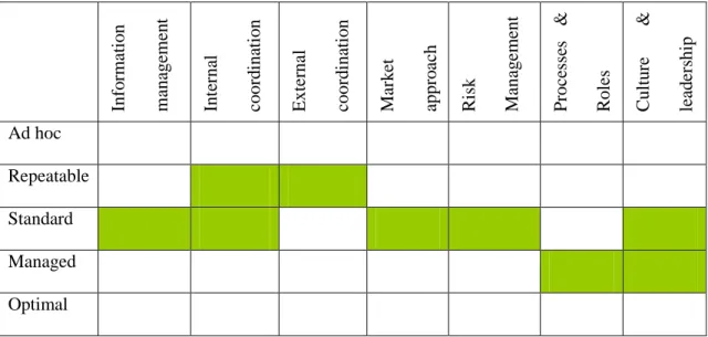 Figure 4: Example of the Infra Maturity Level of an organization 