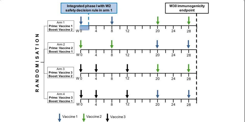 Figure 1 Overview of the proposed multi-arm phase I/II design. Legend: W = week.