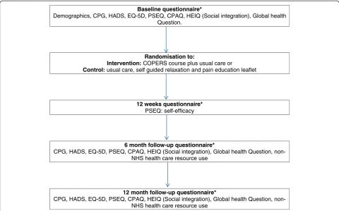 Figure 1 Schedule of assessment. CPG, Chronic Pain Grade (Von Korff [3]); HADS, Hospital Anxiety and Depression Scale (Zigmond and Snaith[5]); EQ-5D, Quality of life (EuroQol.org); PSEQ, Pain Self-Efficacy Questionnaire (Nicholas 1989, [4]); CPAQ, Chronic Pain Acceptance Questionnaire(McCracken [6]); HEIQ, Social integration [7]; Census global health question (ons.gov.uk/census/2011-census).