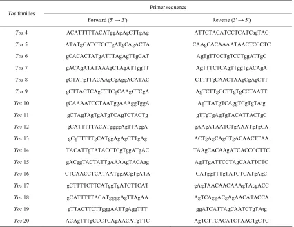 Table 1. The primer sequence of Tos families for PCR. 