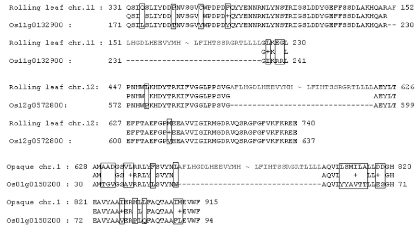 Figure 2. Detection of retrotransposon elements in the mu- tants and a donor cultivar ‘Ilpum’ using genomic DNA by Sbands were isolated from agarose gel, and sequenced (fail)