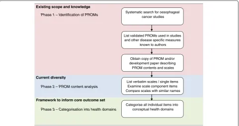 Figure 1 Methods to identify PRO domains to inform a core outcome set.