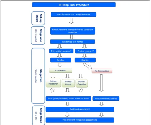 Figure 2 Flowchart of the PiTStop trial procedure.