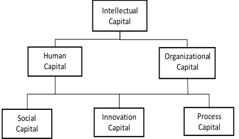 Fig. 2 Different types of capital, Edvinsson (2005)  