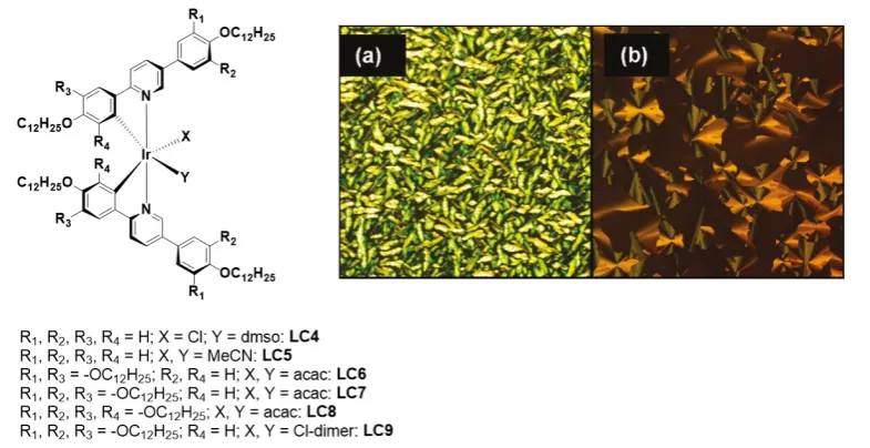 Figure 10. Chemical structure of the LC molecular complexes and optical texture of 