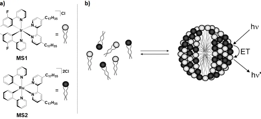 Figure 16. a) Chemical structure of the metallo-surfactants MS1 and MS2. b) self-