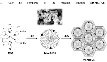 Figure 18. Chemical structure of MS7 and representation of the micellar system MS7:CTAB 