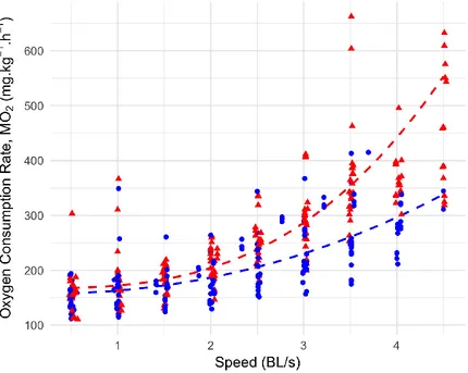 Figure 4. Mean oxygen consumption rate (ṀO2; mg O2 kg h) is significantly higher in LTF (red) than in HTF (blue) at swimming speeds > 2 BL s-1
