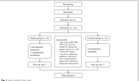 Fig. 1 Study protocol flow chart