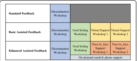 Fig. 1 Intervention elements of the three study arms