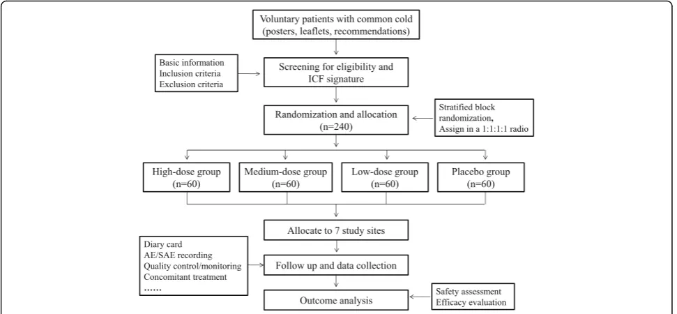 Fig. 1 Study flow chart. AE adverse event, SAE serious adverse event