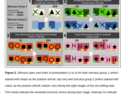Figure 2. Stimulus pairs and order of presentation (1 to 4) for both stimulus group 1 (which 