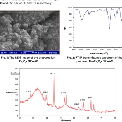 Fig. 1: The SEM image of the prepared Mn-