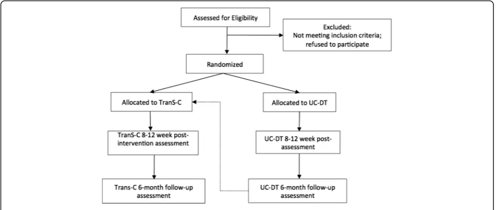 Fig. 1 Flowchart of study design