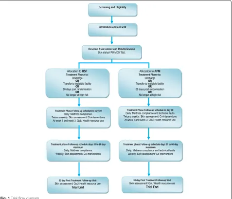 Fig. 1 Trial flow diagram