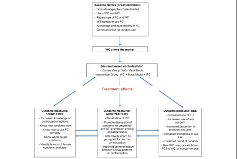 Fig. 1 Summary of conceptual framework