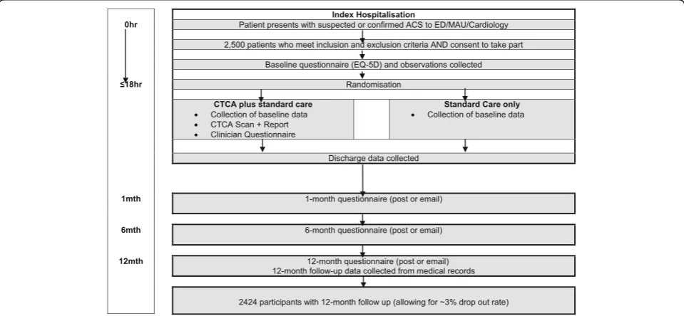 Fig. 1 Patient pathway