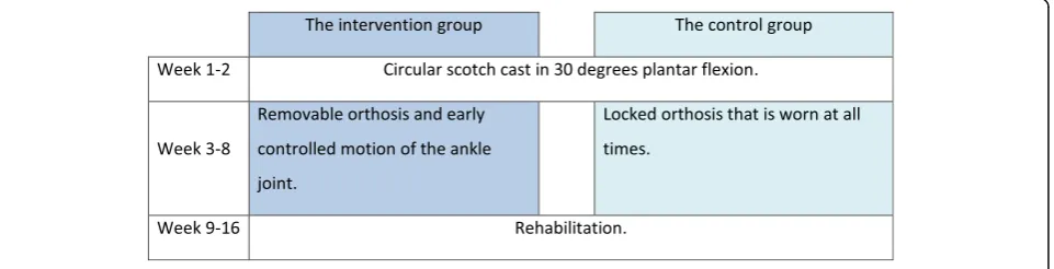 Fig. 1 Study design
