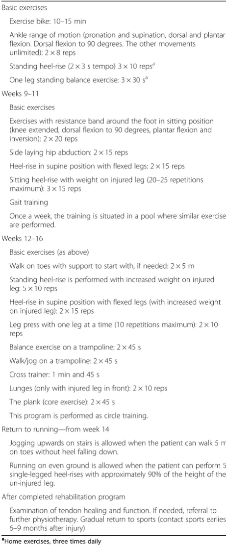 Table 1 Rehabilitation weeks 9–16