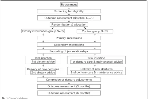 Fig. 1 Chart of trial design