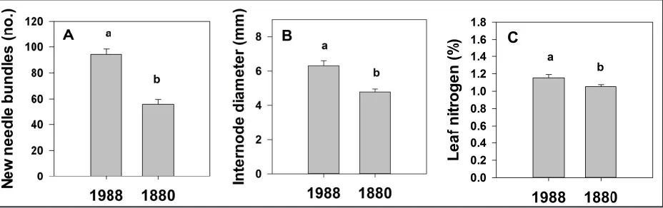 Figure 1.  Comparison of A) new needle production, B) internode diameter, and C) leaf nitrogen concen-tration of whitebark pine seedlings (25 cm to 30 cm height with three to five side-branch whorls) in the Smith Creek 1988 burn (12 yr old) and Smith Creek