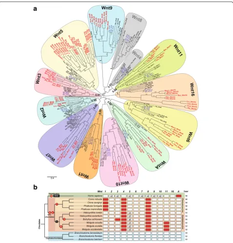 Fig. 1 (See legend on next page.)