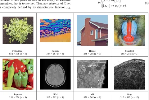 Figure 1. Example of multicomponent images.