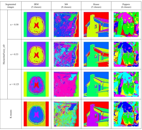 Figure 3. Example of segmented images by HierarchieFuzzy_nD and K-means methods. 