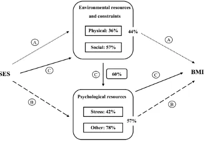 Figure 4. Overview of the percentage (%) of support for each pathway and psychosocial 