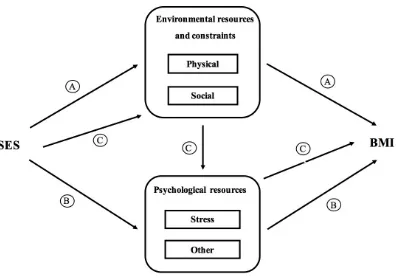 Figure 1. Model of suggested pathways from socioeconomic status to BMI. Adapted from 