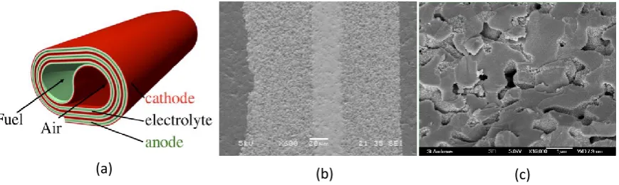 Figure 12  (a) Schematic geometry of SOFCRoll design, (b) Cross-sectional view of triple cast YSZ layer produced by sequential casting before infiltration, and (c) micrograph showing impregnates catalyst on the pore surface of SOFCRoll support 186 