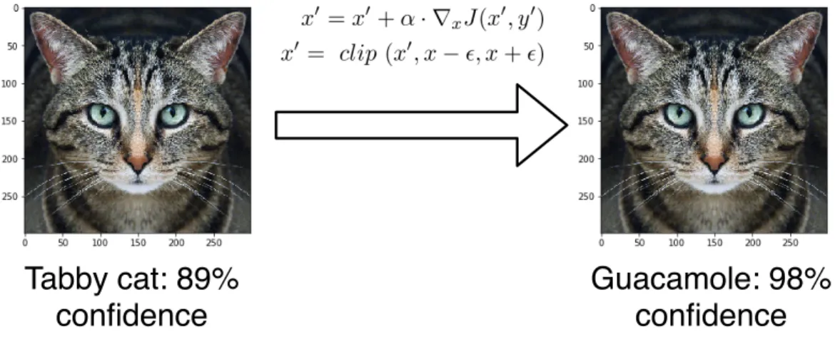 Figure 3: An illustration of an adversarial image using PGD method [30].