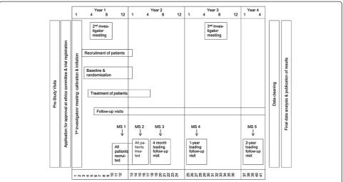 Figure 1 Organization chart of trial design.