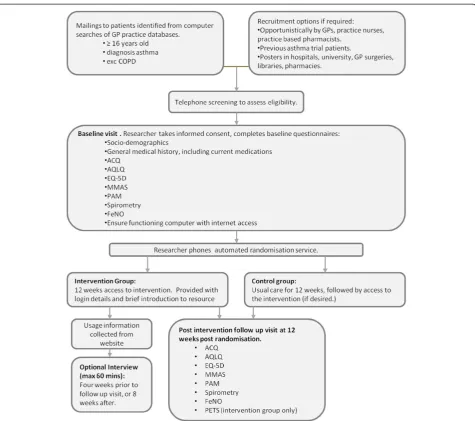 Figure 1 Study flow chart. ACQ, Asthma Control Questionnaire; AQLQ, Asthma Quality of Life Questionnaire; FeNO, Fractional Exhaled NitricOxide; GP, General Practitioner; MMAS, Morisky Medication Adherence Scale; PAM, Patient Activation Measure; PETS, Problems of ExperiencedTherapy Scale.