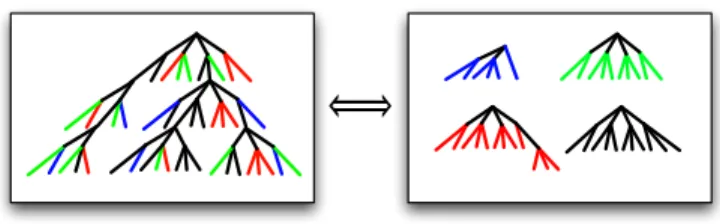 Figure 3.2: Dual decision tree representations with color-labeled equivalence classes