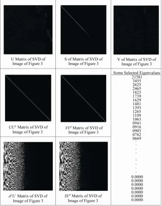 Figure 3. Brain tumor cells image. 