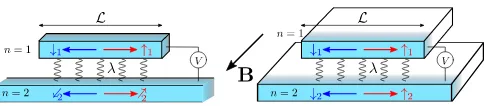 FIG. 1.Sketch of two possible scenarios of tunneling betweentwo quantum wires (left) or edge states of a bilayer systemof a topological insulator (right)