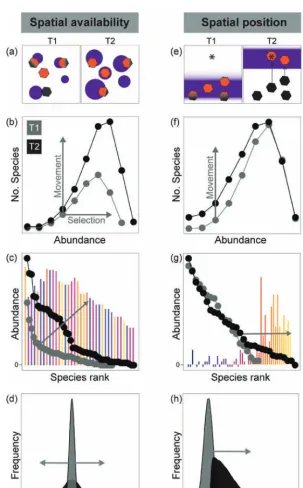Figure 5. Schematic diagram linking changes in spatial availability and position of temperature with community responses using different biodiversity metrics